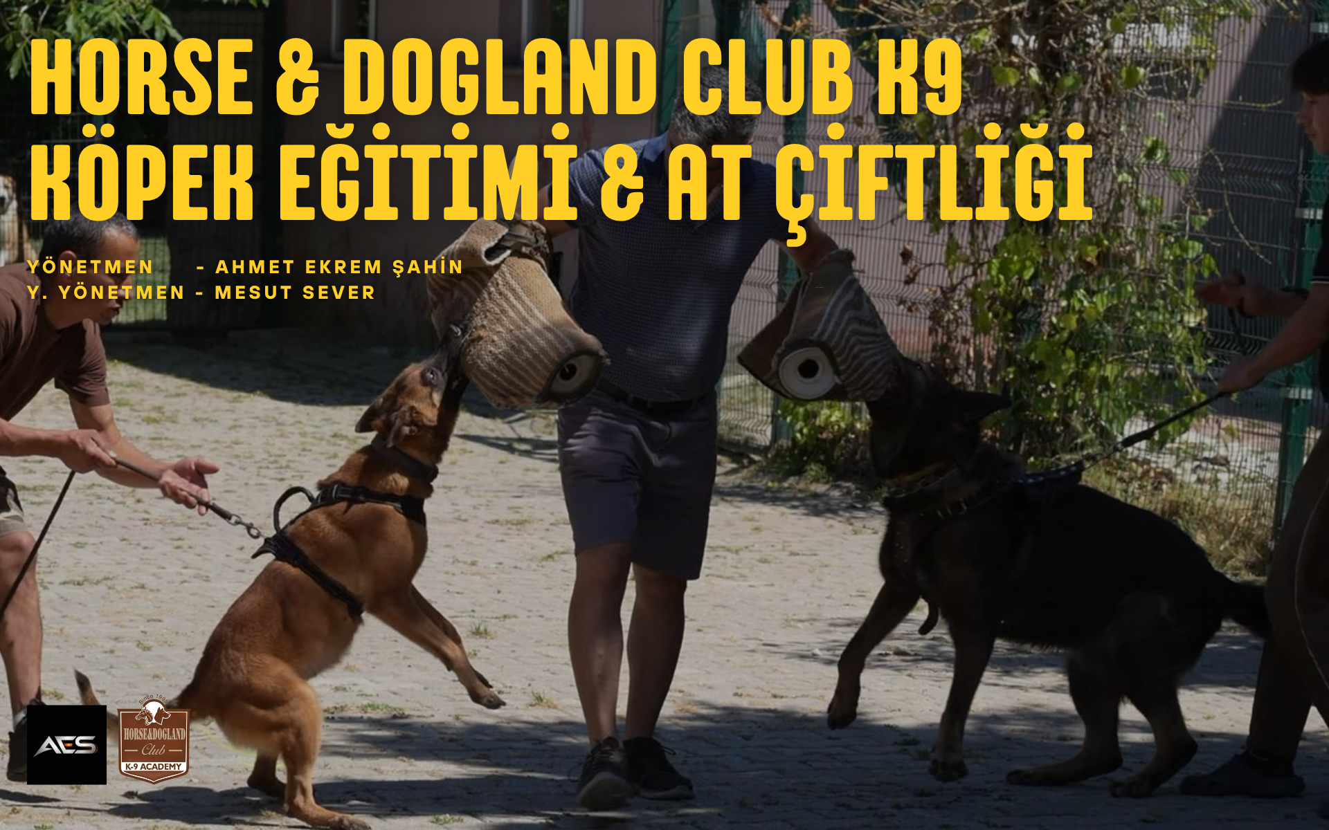 Horse & Dogland Club K9 Köpek Eğitimi & At Çiftliği / Belgesel - Tanıtım